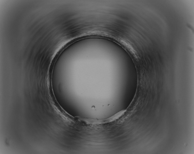 X0000091900888200709191235