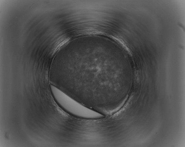 X0000091900889200709191235