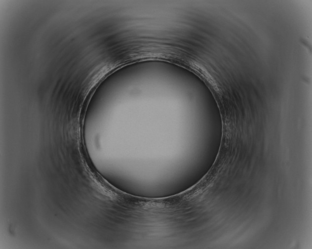 X0000091900890200709191235