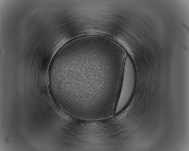 X0000091900891200709191235