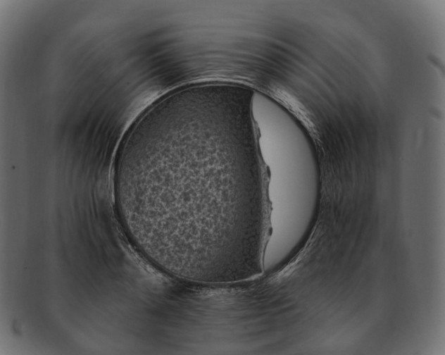 X0000091900892200709191235