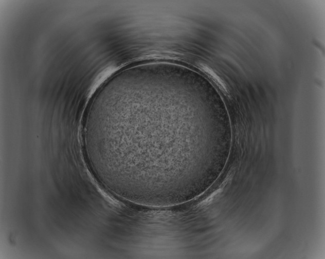 X0000091900893200709191235