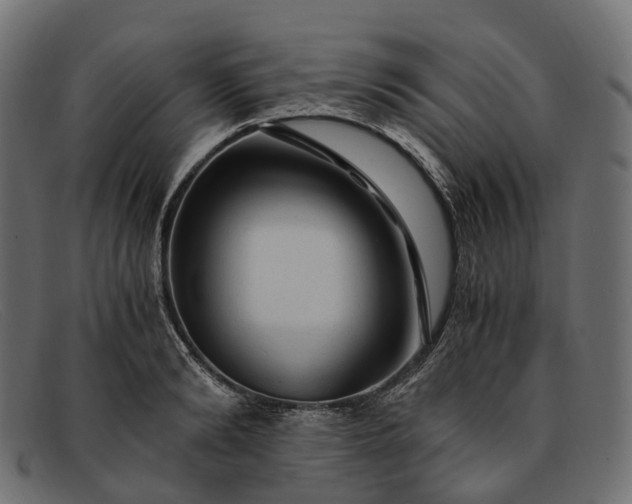 X0000091900894200709191235