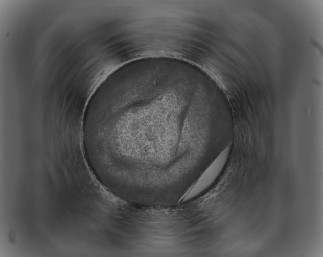 X0000091900895200709191235