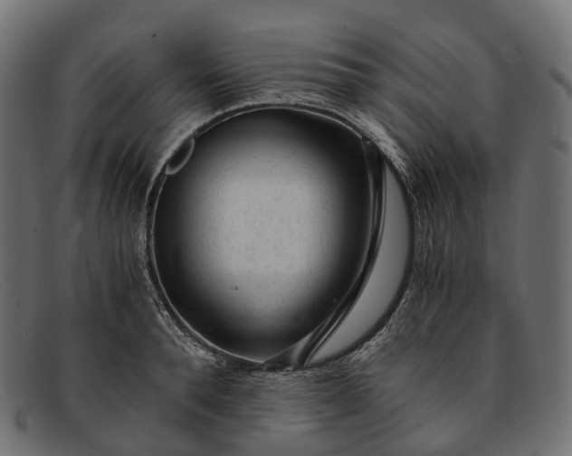 X0000091900896200709191235