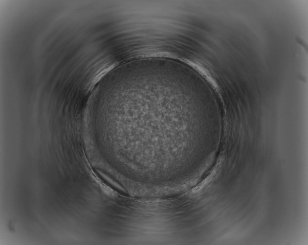 X0000091900897200709191235