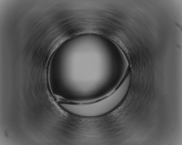 X0000091900898200709191235