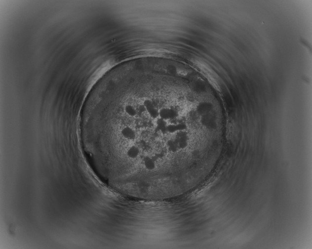 X0000091900899200709191235