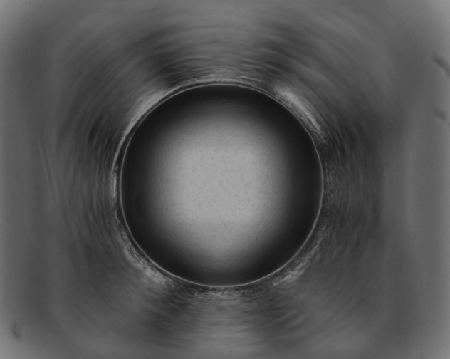 X0000091900900200709191235