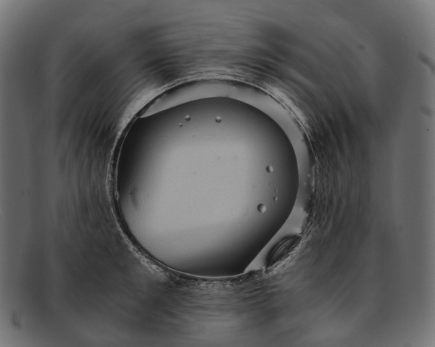 X0000091900901200709191235