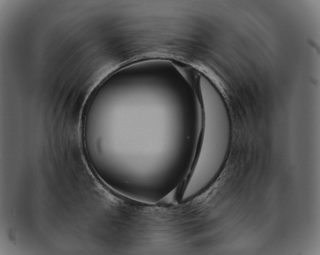 X0000091900902200709191235