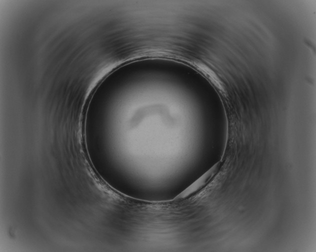 X0000091900904200709191235