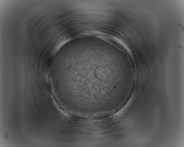 X0000091900905200709191235