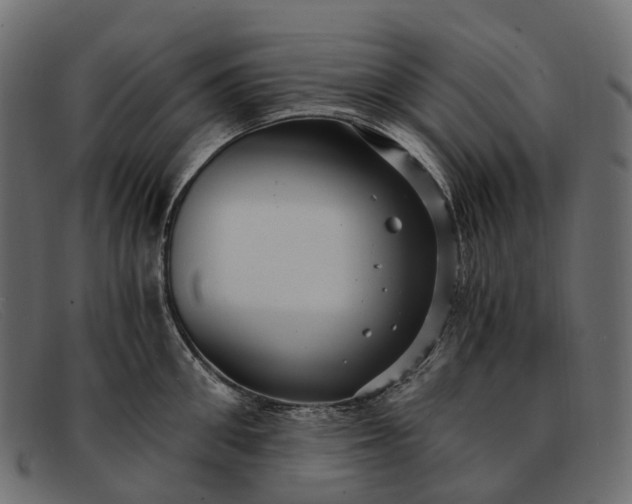 X0000091900906200709191235