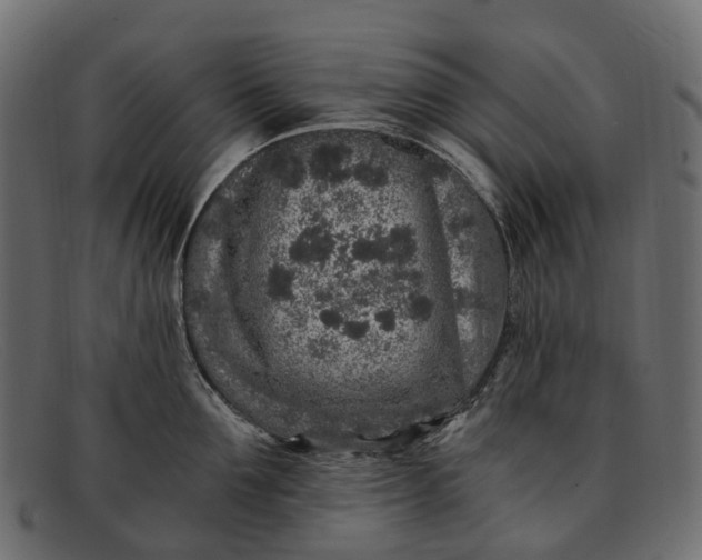 X0000091900907200709191235