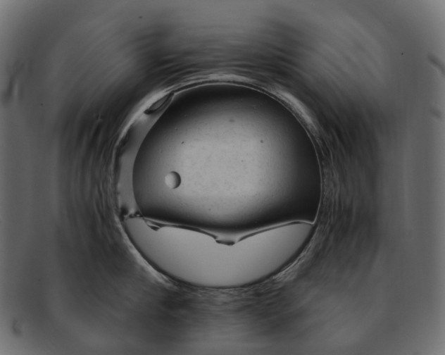 X0000091900910200709191235