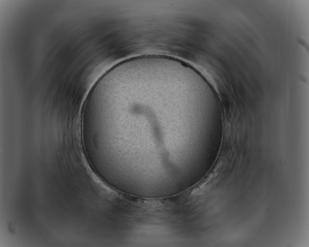 X0000091900911200709191235