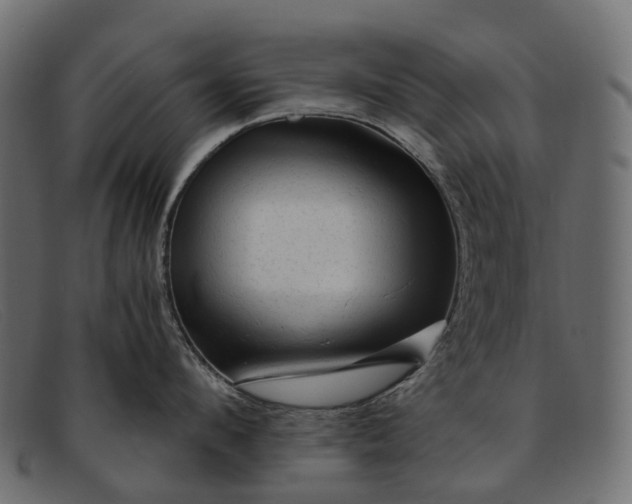 X0000091900912200709191235