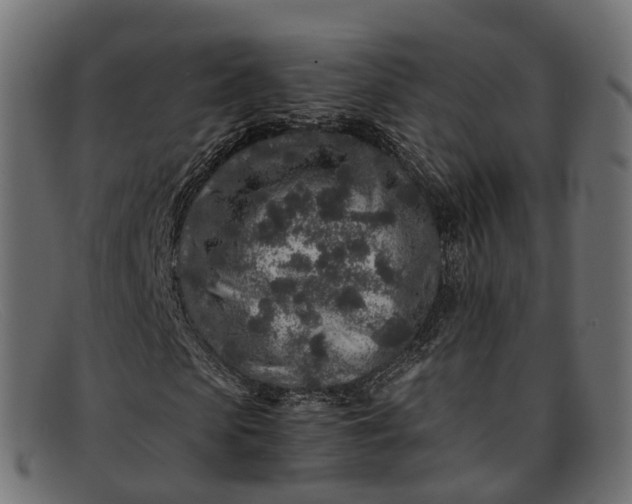 X0000091900913200709191234