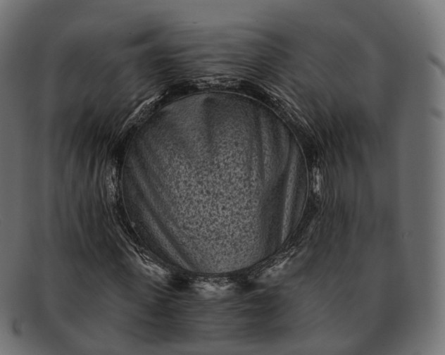 X0000091900915200709191234