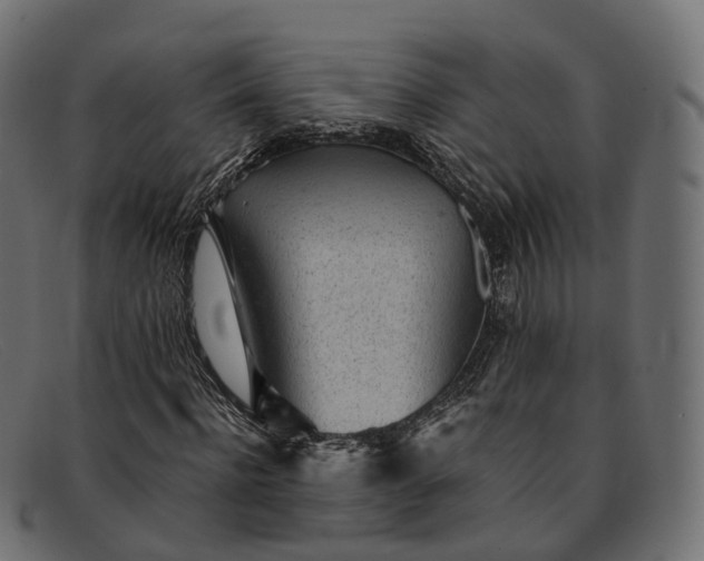 X0000091900916200709191234