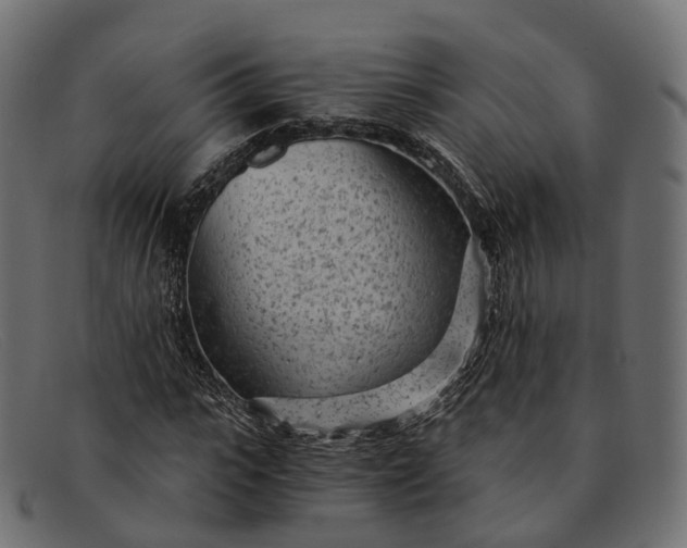 X0000091900919200709191234