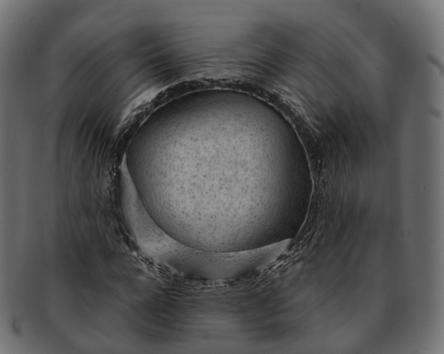 X0000091900920200709191234