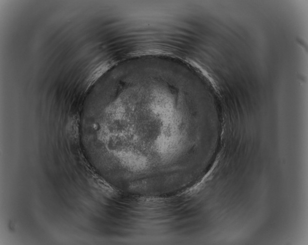 X0000091900921200709191234