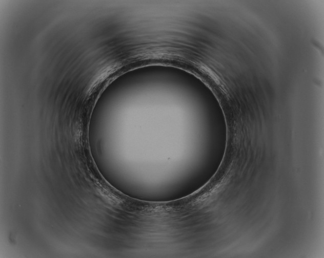 X0000091900922200709191234