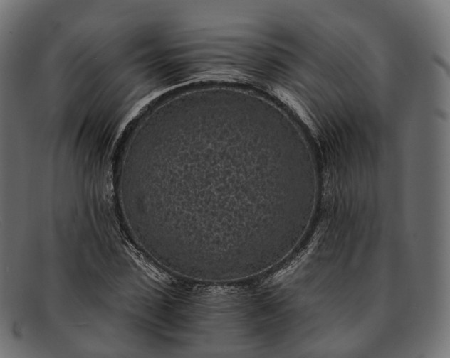 X0000091900923200709191234