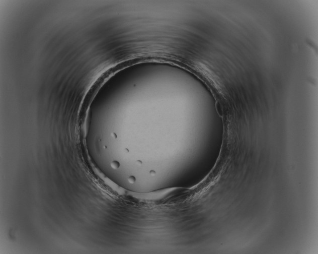 X0000091900924200709191234