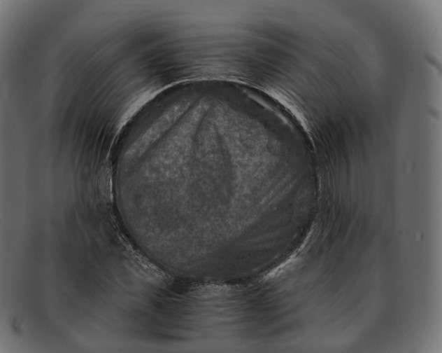 X0000091900925200709191234