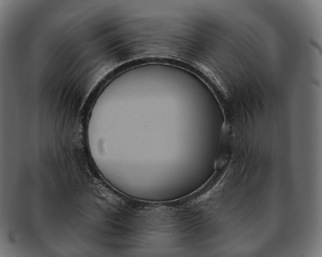 X0000091900926200709191234