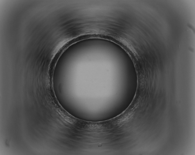 X0000091900927200709191234