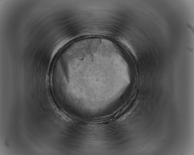 X0000091900928200709191234