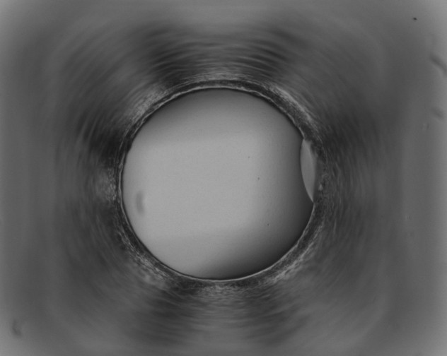 X0000091900929200709191234