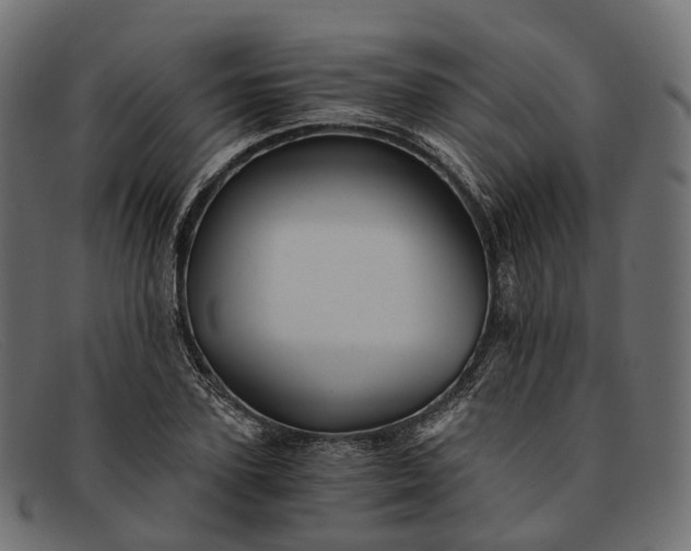 X0000091900931200709191234