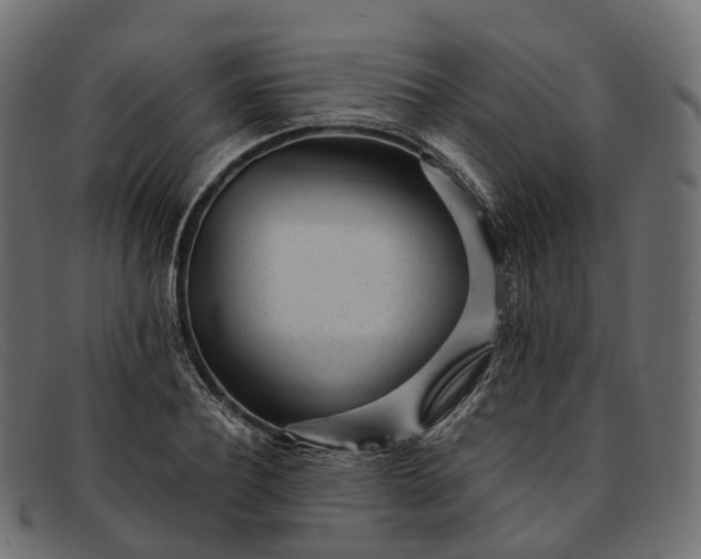 X0000091900932200709191234