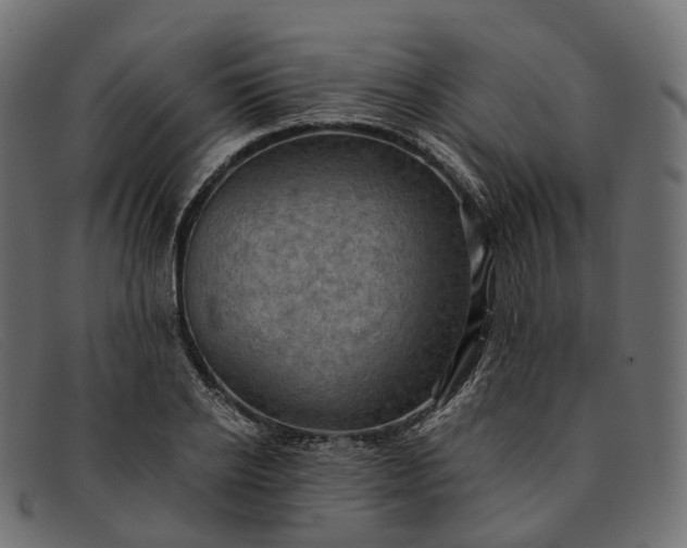 X0000091900934200709191234