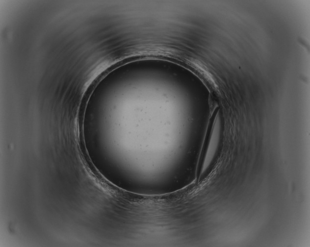 X0000091900936200709191235