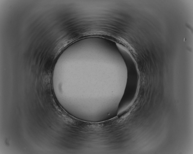 X0000091900937200709191235