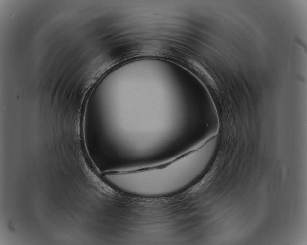 X0000091900938200709191235