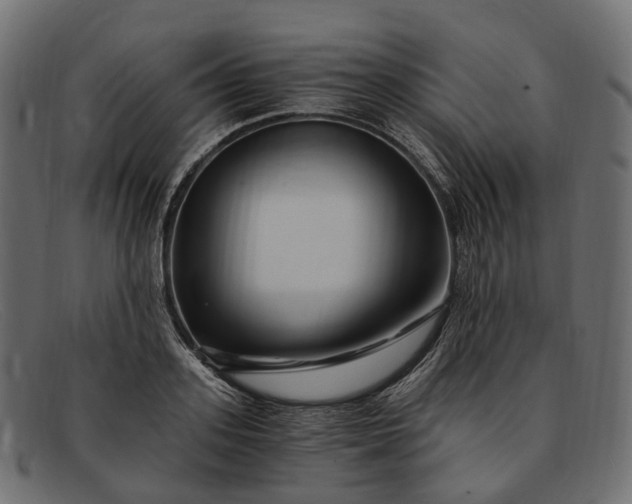 X0000091900939200709191235