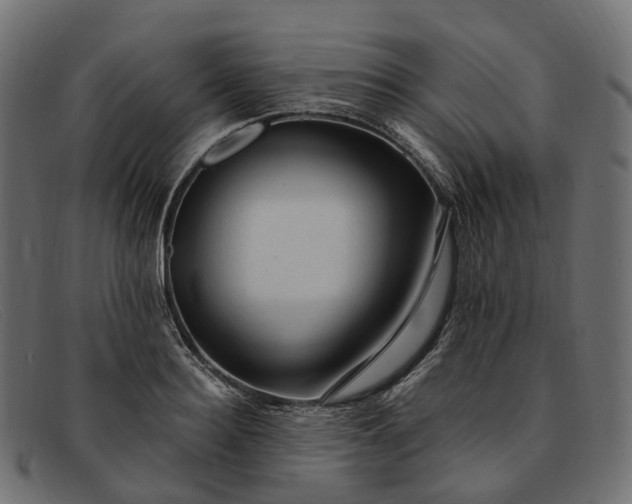 X0000091900940200709191235