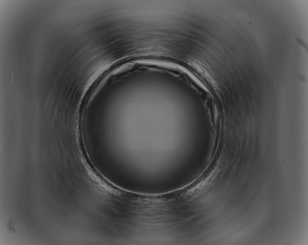 X0000091900941200709191235