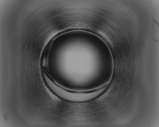 X0000091900942200709191235