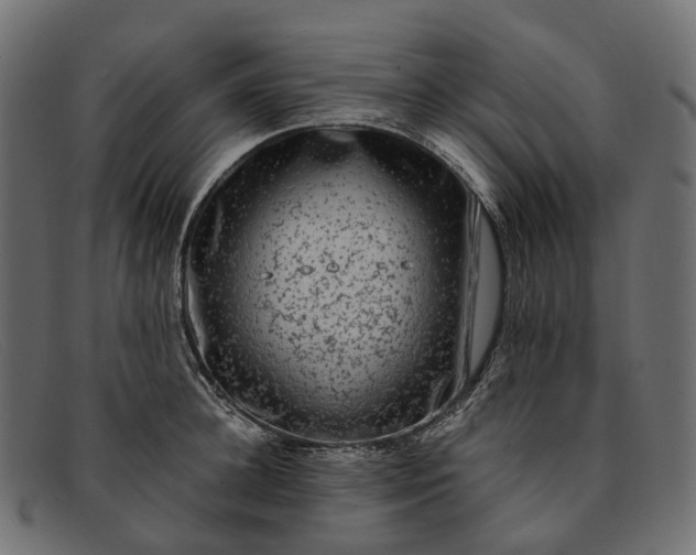 X0000091900948200709191235