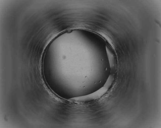 X0000091900949200709191235