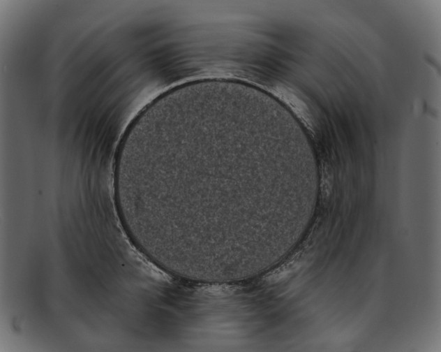 X0000091900950200709191235