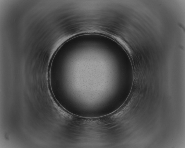 X0000091900951200709191235